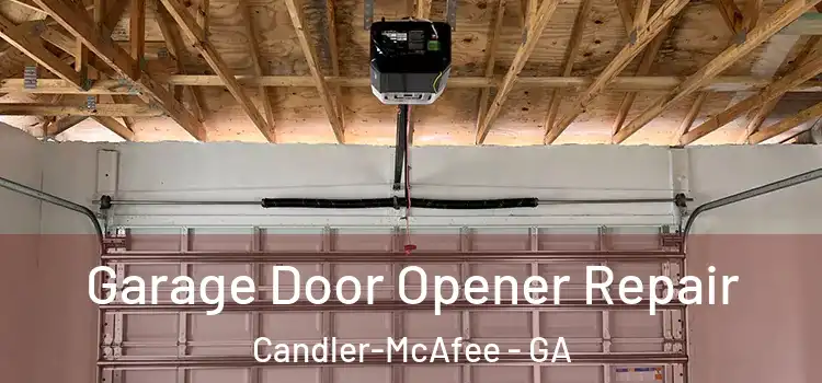  Garage Door Opener Repair Candler-McAfee - GA