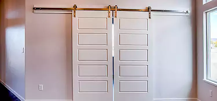 Glass Barn Door with Installation Hardware Kit Candler-McAfee
