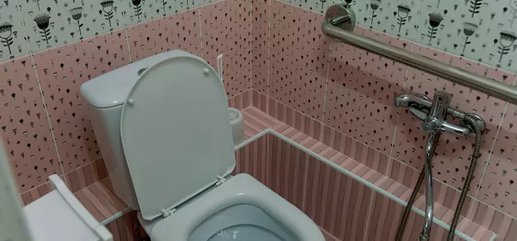 Meeting Diverse Needs With Accessible Restroom Solutions in Candler-McAfee, GA