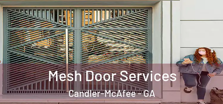 Mesh Door Services Candler-McAfee - GA